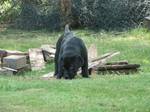 Bild 105