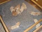 Bild 112