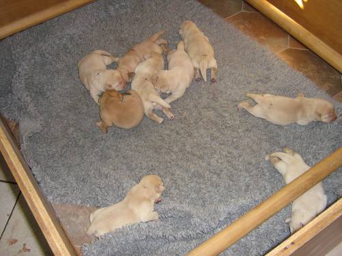 Bild 112