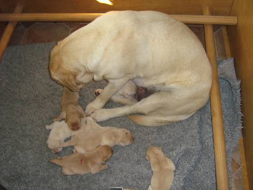 Bild 113