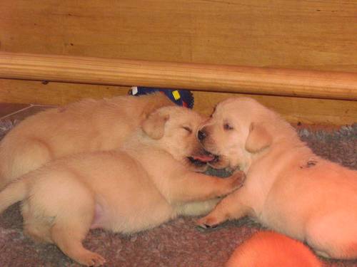 Bild 114