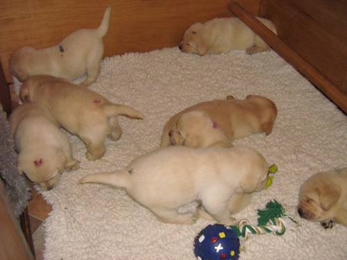 Bild 115