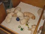 Bild 116
