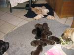Bild 118
