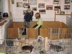 Bild 121