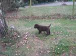 Bild 122