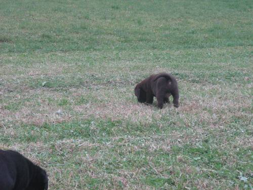 Bild 124
