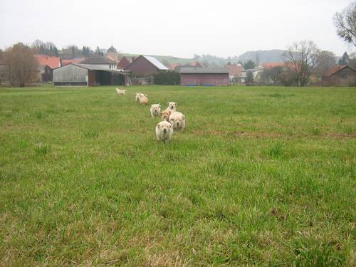 Bild 126