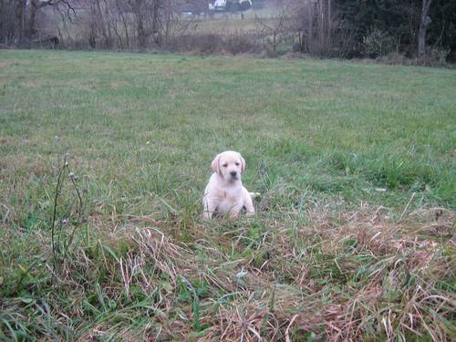 Bild 127
