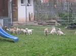 Bild 128