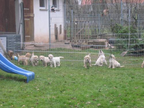 Bild 128