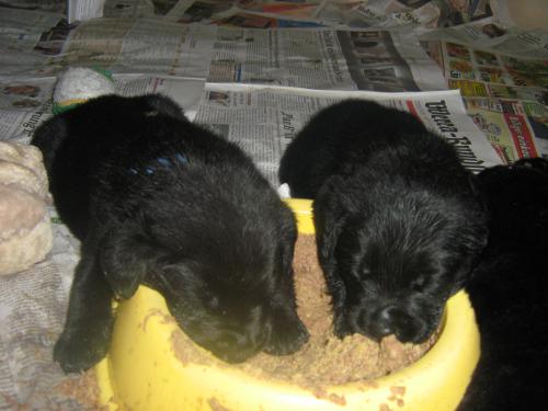 Bild 134