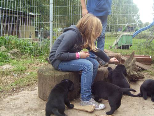 Bild 138