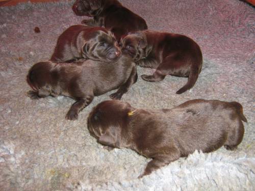 Bild 142