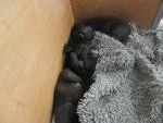 Bild 17