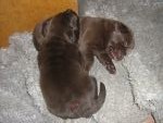 Bild 20