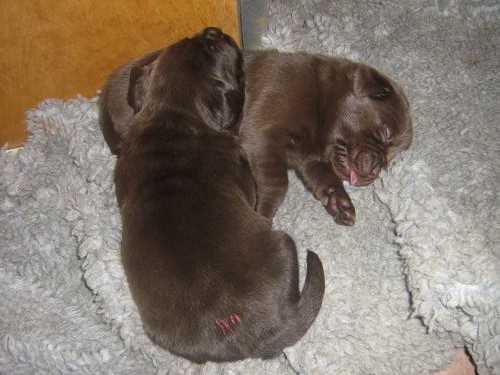 Bild 20