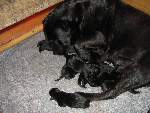 Bild 82