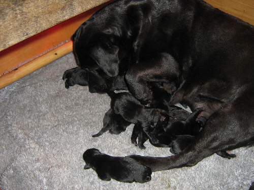 Bild 82