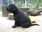 Bild 90