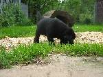 Bild 91