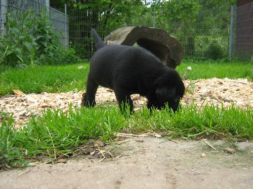 Bild 91