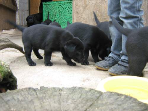 Bild 92
