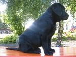 Bild 93