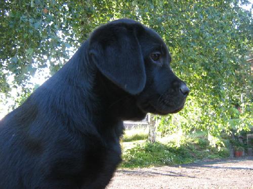 Bild 94