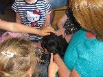 Bild 95