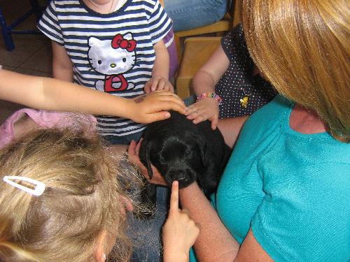 Bild 95